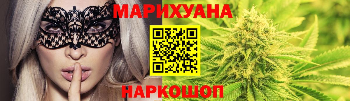 Конопля гибрид Зеленокумск
